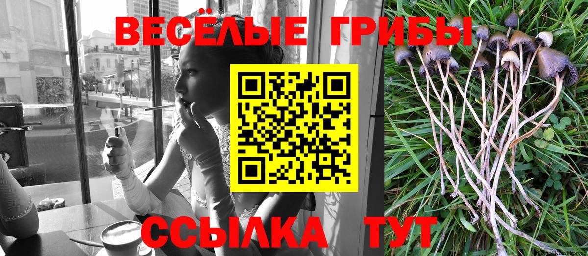 Рязань  Псилоцибиновые грибы Magic Shrooms  Вход с VPN 