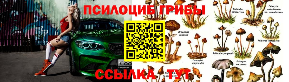 Галлюциногенные грибы мицелий Рязань