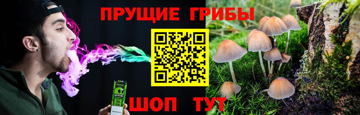 Кокаин  MDMA  Гашиш  Вход с VPN  Меф МЯУ МЯУ  Метамфетамин  Рязань  Бошки Шишки  Альфа ПВП СОЛЬ кристаллы  Меф МЯУ МЯУ  